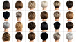 © Suratama - Collection of Short Haircuts for Women Back View Set