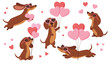 © Jevgeniya Mukhitova - Cute dachshund dogs with hearts and balloons, love and Valentine concept. Vector illustration set