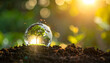 © Rika - Earth globe with tree inside glass ball on soil with sunlight