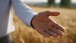 © Thares2020 - An outstretched hand is set against a blurred golden wheat field backdrop symbolizing opport and natural growth