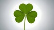 © Ashes - Lucky four leaf clover on white background with soft natural lighting
