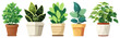 © Rawpixel.com - PNG Vibrant potted plants illustration on transparent background