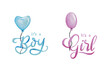 © Hanna - Boy or Girl - hand drawn png watercolor template with a multi-colored inscription. Illustration for gender reveal party