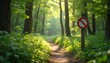 © Pete - Forest path with prohibition sign. Green trees surround trail. Summer season, rich foliage, no entry. Sunlight streams through canopy. Nature preserve, restricted area.