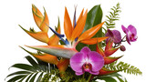 Isolated vibrant tropical flower arrangement with Bird of Paradise and purple orchids