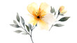 © melty - A yellow flower with green leaves is the main focus of the image