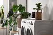 © Pixel-Shot - Interior of laundry room with washing machines and houseplants