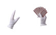 © Pixel-Shot - Male magician's hands with playing cards on white background