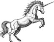 © Purple_Lamp - hand drawn unicorn rearing up with flowing mane and horn, fantasy mythical horse illustration