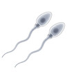 © SAYEDA - Two sperm cells with glowing nuclei isolated on a transparent background