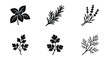 © Akash - Culinary herbs collection, 6 black vector icons of basil, rosemary, lavender, parsley, cilantro and dill, botanical leaf silhouettes for kitchen branding