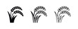© liubomir118809 - Rice stalk icon set, filled and outlined, for agriculture or grain