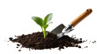 © Sindre - Young green seedling sprouting from dark soil with gardening trowel