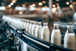 © SvoP - Bottles filled with fresh milk moving along an automated conveyor belt system in a modern dairy processing plant with industrial lighting