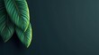 © buraratn - Lush Green Leaves on Dark Background for Nature and Organic Designs, Evoking Calmness and Freshness in Interior or Graphic Projects