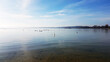 © Holger - Blick über einen See am Morgen