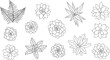 © MD - Black and White Succulent and Fern Plant Icon Set Featuring Detailed Drawings of Cacti, Aloe, and Succulent Varieties for Botanical Design