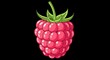 © Last - Illustration of a ripe raspberry with green leaves on a black background