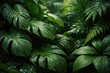 © AkuAku - Lush green foliage background with water droplets and leafy texture