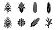 © Moniya - Corn and maize icon set, 8 black silhouette vector elements of corn cobs and stalks, agricultural plant symbols for farming and food industry