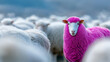 © Nataliya - Bold pink sheep standing apart from a white flock, authenticity and breaking conformity concept, inclusive diversity marketing, millennial branding and storytelling, with copy