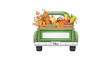 © Aminul - A green pickup truck filled with autumn pumpkins and flowers in the bed
