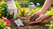 © rozy - Gardening Hands Planting Flowers in Rich Garden Soil with a Metal Trowel