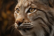 © RAFAEL CHAVES  - portrait of a lynx