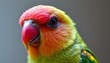 © MakeitEasy - The image features a close up of a colorful bird with vibrant plumage. Its head displays shades of red, orange, and yellow, blending seamlessly into green feathers on its body