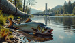 © Julia - Fish lying on riverbank near water, highlighting environmental issues and wildlife conservation themes. Useful for articles on pollution and aquatic ecosystems, especially in the context of elections.