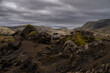 © Travel 'n' Lifestyle - View of a rugged landscape with moss covered rocks under a cloudy sky with a vehicle in the distance, Skaftarhreppur, Iceland.