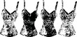 © smth.design - lace lingerie camisole collection with adjustable straps for women's intimate wear