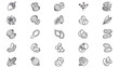 © Subodh - 25 Vector Icon Set Bundle: Black Minimalist Line Art Symbols of Spices, Nuts, Seeds, and Plants. Includes Cardamom, Nutmeg, Walnut, Coffee, Cocoa, Coconut, Corn, Peanut, Hazelnut, and Botanical Art.