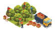 © Sadiaa - Isometric agricultural illustration depicts workers picking fresh apples from orchard trees and loading wooden crates onto a yellow transport truck daily.