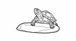 © palo - A detailed line drawing of a turtle resting on a smooth, flat rock