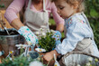 © Halfpoint - Elderly woman and little granddaughter planting flowers together in spring garden.