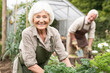 © Kowit - A smiling elderly woman tends to a garden with leafy greens, while an older man works in the background near a greenhouse.