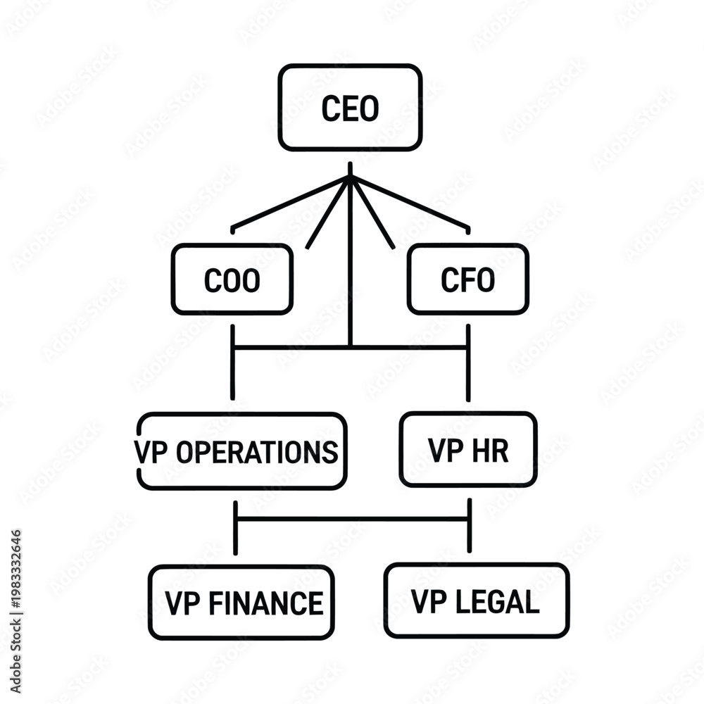 Vee Org Chart Corporate Organizational Chart Showing CEO, COO, CFO, and Vice ...
