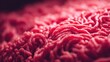 © Николай Чайка - Close-up view of finely minced raw beef showing intricate texture and color variations, highlighting the freshness and quality of the meat for culinary use in various dishes
