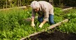 © Konstantin - Retired senior woman gardening. Pulling the weeds and edge garden beds.