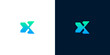 © anello - Modern abstract letter X logo icon design, a sleek and dynamic symbol for technology or business brands