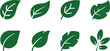 © Icon Stock - Leaf icons for season and foliage sets