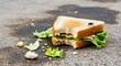 © Mobiles - Bitten Sandwich With Fly on Concrete Surface Food Safety and Hygiene Concerns