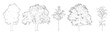 © Manon - Set of oak trees in elevation view for use in architectural drawings - isolated on transparent background