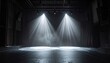 © Bajing - Empty stage spotlights.