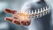 © Aris Suwanmalee - Hand presenting a 3D spine model for medical studies and health. Used in clinics, physical therapy, and orthopedics to promote spinal health and alleviate back discomfort.