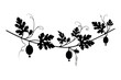 © graphixarrow - Black and white illustration of a flowering plant with oval shaped seed pods and leafy branches on a plain white background