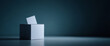 © perfectlab - Minimalist ballot box with voting paper