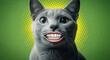 © Nataly - Funny meme cat with exaggerated smile and vibrant green pop art background, showcasing playful expression and cartoonish style.