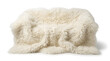 © Wanda - Luxurious pure white sheepskin rug offering plush comfort and elegant texture, perfect for modern home decor and cozy interior design elements with a soft, inviting feel